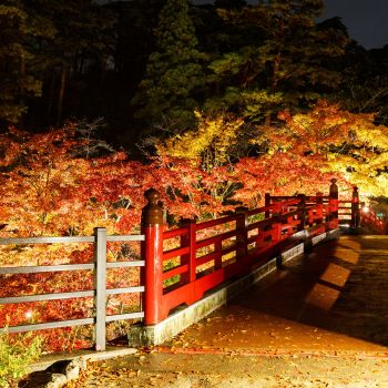 弥彦公園