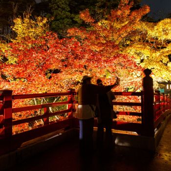 弥彦公園