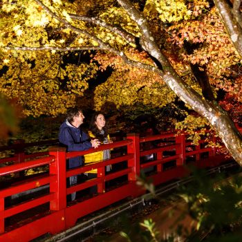 弥彦公園