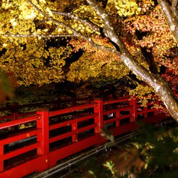 弥彦公園