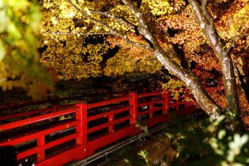 弥彦公園