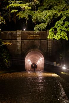 弥彦公園