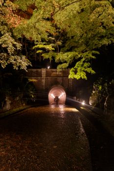 弥彦公園