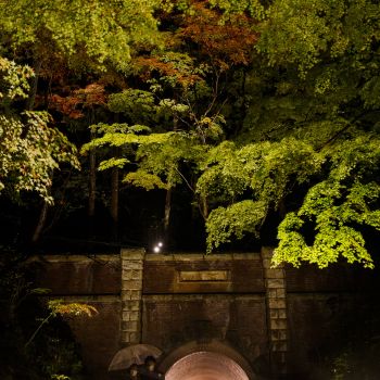 弥彦公園