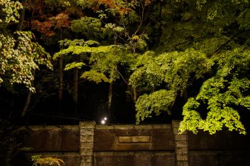 弥彦公園