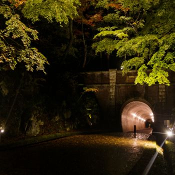 弥彦公園