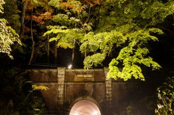 弥彦公園