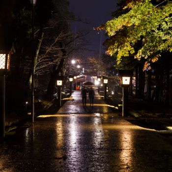 弥彦公園