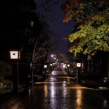 弥彦公園