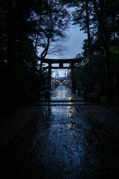 弥彦神社