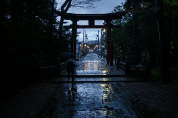 弥彦神社
