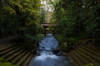 弥彦神社