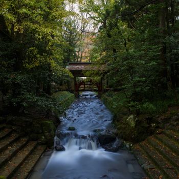 弥彦神社