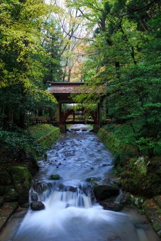 弥彦神社