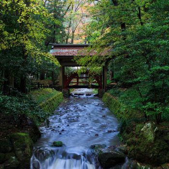弥彦神社