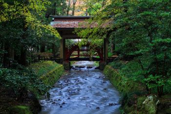 弥彦神社