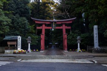 弥彦神社