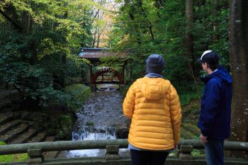 弥彦神社