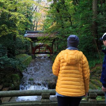 弥彦神社