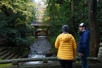 弥彦神社