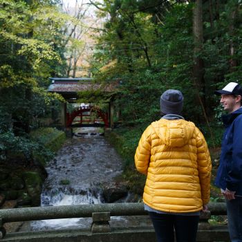 弥彦神社