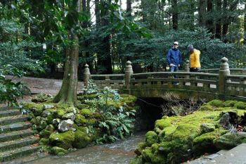 弥彦神社