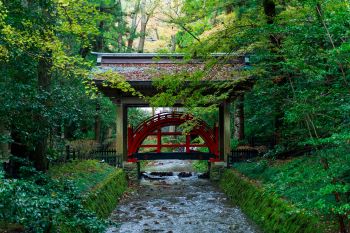 弥彦神社