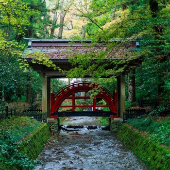 弥彦神社
