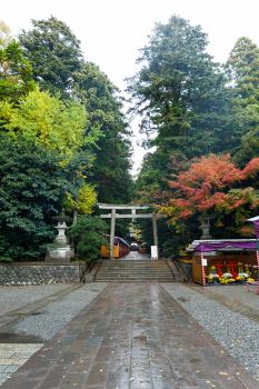 弥彦神社