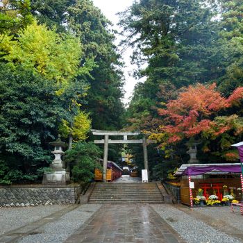 弥彦神社