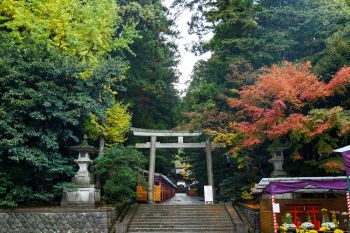 弥彦神社