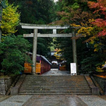 弥彦神社