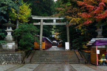 弥彦神社