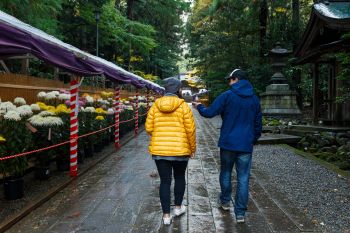 弥彦神社