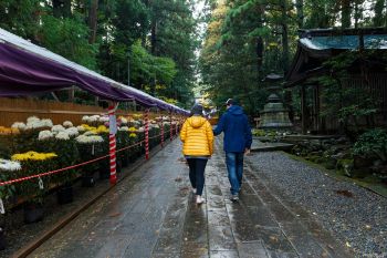 弥彦神社