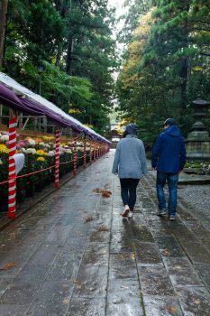 弥彦神社