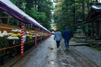 弥彦神社