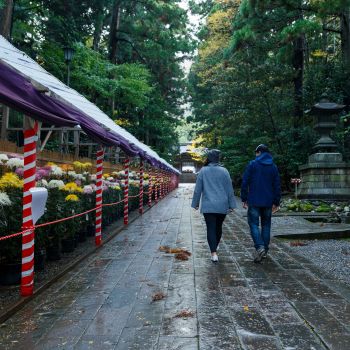 弥彦神社