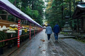 弥彦神社