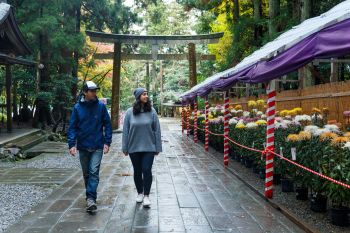 弥彦神社