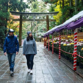 弥彦神社