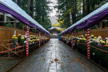 弥彦神社