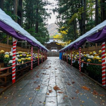 弥彦神社