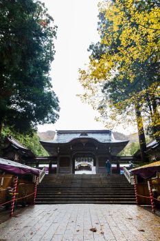 弥彦神社