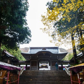 弥彦神社