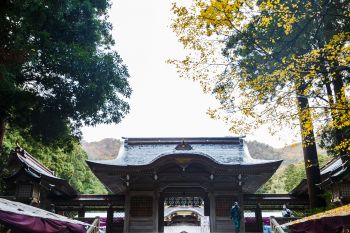 弥彦神社