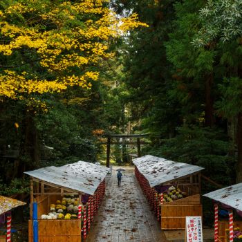 弥彦神社