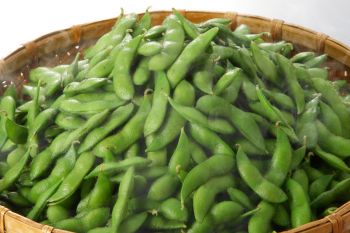 枝豆1