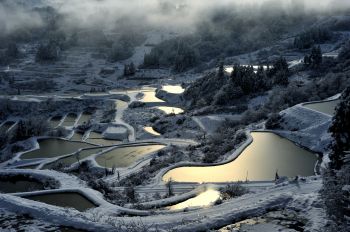 初雪の朝