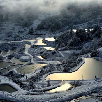 初雪の朝